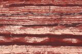 Polished Snakeskin Jasper Slab - Western Australia #221536-1